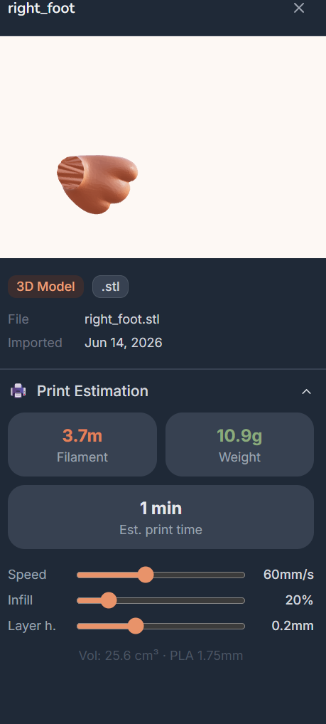 Model details & print estimation
